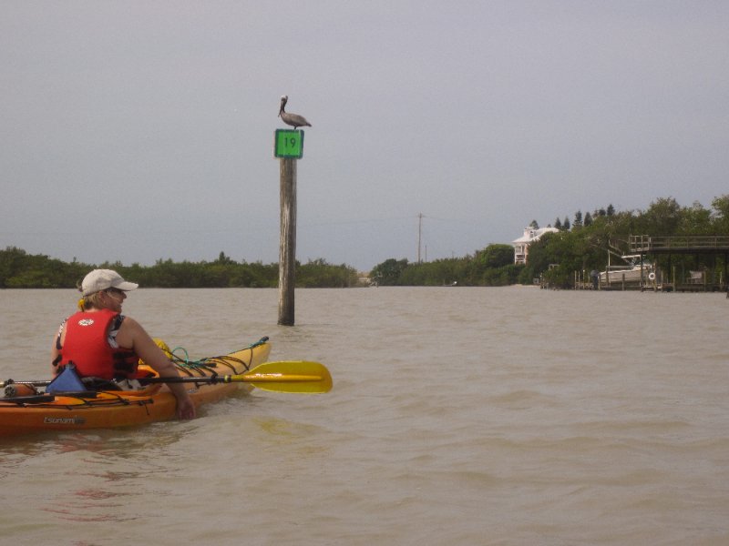 Captiva051310-0697.jpg - Kayaking Captiva:  Buck Key