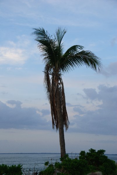 Captiva051310-2986.jpg - Redfish Pass