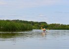 Busse Lake  Kayaking Busse Lake : 2017, Busse Forest Nature Preserve, Busse Lake, Kayaking