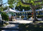 Sailing to Cabbage Key  Lunch at Cabbage key. Sail from Captiva to Cabbage Key and back : 2017, Captiva
