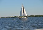 Boat to Cayo Costa  Sail boat. Boat North along the Intercoatal water way to Cayo Costa. Boating from Captiva to Cayo Costa and back : 2017, Boat Ride, Captiva, Cayo Costa, boating