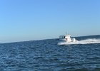 Boat to Cayo Costa  Someone going really fast. Boat North along the Intercoatal water way to Cayo Costa. Boating from Captiva to Cayo Costa and back : 2017, Boat Ride, Captiva, Cayo Costa.Boat Ride, Pine Island Sound, boating