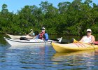 Kayak Buck Key  Braynerd Bayou. Kayaking Buck Key, counterclockwise. : 2017, Braynard Bayou, Buck Key, Captiva, Kayaking, Mangrove Trail, Pine Island Sound
