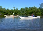 Kayak Buck Key  Braynerd Bayou. Kayaking Buck Key, counterclockwise. : 2017, Braynard Bayou, Buck Key, Captiva, Kayaking, Pine Island Sound