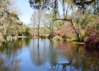 Lake near conservatory  Lake/Flowers, near and inside the Conservatory. Magnolia Plantation & Garden. Weekend with Mike and Liane in Columbia  and Charleston : 2017, Magnolia Plantation & Garden, South Carolina
