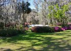 Long White Bridge Lawn  At the Long White Bridge Lawn. Magnolia Plantation & Garden. Weekend with Mike and Liane in Columbia  and Charleston : 2017, Magnolia Plantation & Garden, South Carolina