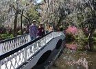 Long White Bridge  The Long White Bridge. Magnolia Plantation & Garden. Weekend with Mike and Liane in Columbia  and Charleston : 2017, Magnolia Plantation & Garden, South Carolina