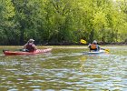 Des Plaines River  Paddling in the Vernon Hills section of the Des Plaines River Canoe and Kayak Marathon, 2017 : 2017.kayaking, Des Plaines River, Des Plaines River Canoe and Kayak Marathon, paddling