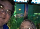 WeddingAnniversdary061917-4  Shedd Aquarium. 35th Wedding Anniversary : 2017, 35th, Shedd Aquarium, Wedding Anniversary