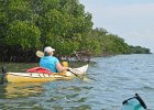 Captiva042018-7788  Kayaking around Buck Key.  Southerly wind, tide coming in.  Started South along Roosevelt Channel, then went all the way around the far side. : 2018, Buck Key, Captiva, Kayaking