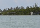 Captiva042018-7995  Kayaking around Buck Key. Started around the North tip of Buck,, South along the far side and then back up Roosevelt Channel,  The tide was coming in, the wind was from the south and the water was very smooth. : 2018, Buck Key, Captiva, Kayaking