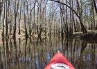 Cedar Creek  Kayaking Cedar Creek in the Congaree National Park : 2018, Cedar Creek, Columbia, Congaree National Park, Kayaking, SC, South Carolina