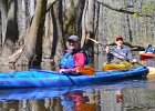 Cedar Creek  Kayaking Cedar Creek in the Congaree National Park : 2018, Cedar Creek, Columbia, Congaree National Park, Kayaking, SC, South Carolina