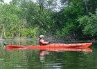 KayakSkokieLagoons061718-8224  Kayaking Skokie Lagoons, from Tower road launch down to lagoon 1 : 2018, Kayaking, Skokie Lagoons, paddling