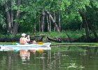 KayakSkokieLagoons061718-8225  Kayaking Skokie Lagoons, from Tower road launch down to lagoon 1 : 2018, Kayaking, Skokie Lagoons, paddling