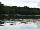 Sliver Springs State Park  Put-out boat ramp at Silver Springs State Park. Kayaking Fox River from Yorkville to Silver Springs State Park : 2018, Fox River, Kayaking, Yorkville to Sliver Springs State Park, paddling