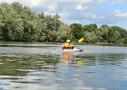 Kayak Fox River  Heading back upstream to the take-out point. Kayaking Fox River from Yorkville to Silver Springs State Park : 2018, Fox River, Kayaking, Yorkville to Sliver Springs State Park, paddling