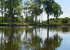 KayakBusse052618-8014  Kayaking Busse Lake, first paddle of the year : 2018, Busse Forest Nature Preserve, Busse Lake, Kayaking, paddling