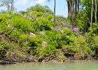 KayakNorthShoreChannel060318-8108  Kayaking North Shore Channel : 2018, Kayaking, North Shore Channel, Skokie, paddling