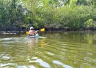 KayakSkokieLagoons052718-8027  Kayaking Skokie Lagoons : 2018, Kayaking, Memorial Day Weekend, Paddeling, Skokie Lagoons, paddling