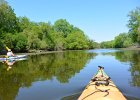 KayakSkokieLagoons052718-8030  Kayaking Skokie Lagoons : 2018, Kayaking, Memorial Day Weekend, Paddeling, Skokie Lagoons, paddling