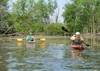 KayakSkokieLagoons052818-8043  Kayak Skokie Lagoons : 2018, Kayaking, Skokie Lagoons, paddling