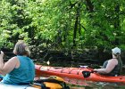 KayakSkokieLagoons052818-8074  Kayak Skokie Lagoons : 2018, Kayaking, Skokie Lagoons, paddling