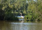 KayakSkokieLagoons062418-8295  Kayaking Skokie Lagoons : 2018, Kayaking, Skokie Lagoons