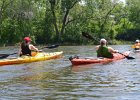 KayakSkokieLagoons070118-8326  Kayaking Skokie Lagoons with Molly : 2018, Kayaking, Skokie Lagoons, paddling