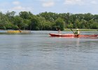 KayakSkokieLagoons070118-8334  Kayaking Skokie Lagoons with Molly : 2018, Kayaking, Skokie Lagoons, paddling