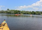 KayakSkokieLagoons070118-8337  Kayaking Skokie Lagoons with Molly : 2018, Kayaking, Skokie Lagoons, paddling