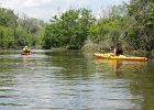 KayakSkokieLagoons070118-8340  Kayaking Skokie Lagoons with Molly : 2018, Kayaking, Skokie Lagoons, paddling