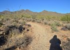 Lost Dog Wash  Branched-off going North on the Ringtail Trail, Hike Lost Dog Wash Trail, Sonoran Desert, McDowell Mountains : 2018, AZ, Arizona, Hiking, Lost Dog Wash Trail, McDowell Mountain area, Phoenix, Ringtail Trail, Sonoran Desert
