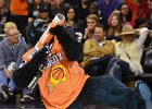 Gorilla !  Gorilla shoot promotional T-shirts into the audience. Phoenix Suns vs Portland Trailblazers basketball. : #SunsVsBlazers, 2018, AZ, Arizona, Basketball, NBA, Phoenix, Phoenix Suns, Portland vs Phoenix, Talking Stick Resort Arena