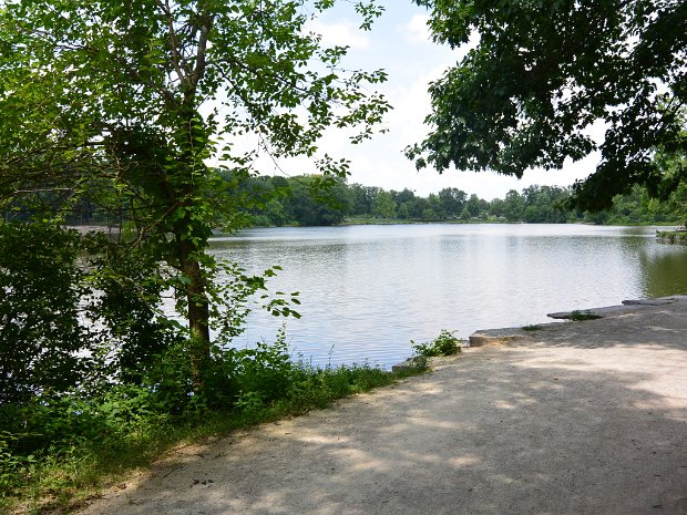 Bike Danada Summer 2025