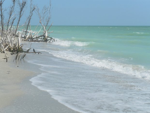 KayakClamBayou050725