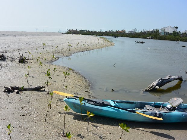 KayakClamBayou060725