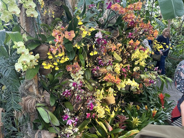 Day5FriParisJardin022125