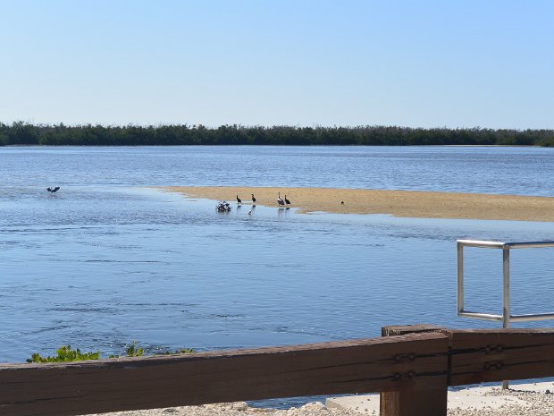BikeDingDarling020925