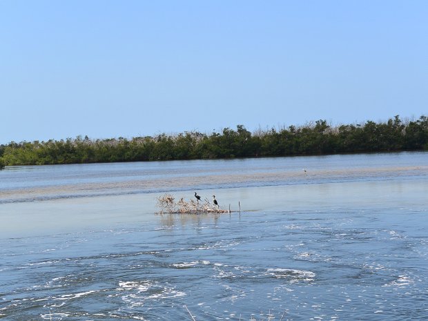 BikeDingDarling042725
