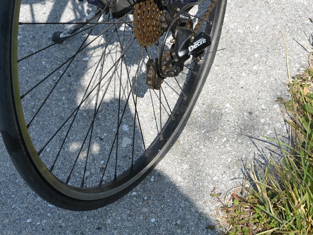 BikeDingDarling052825