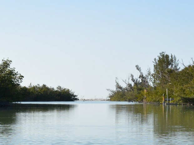 Sanibel Bike Kayak Jan 2025