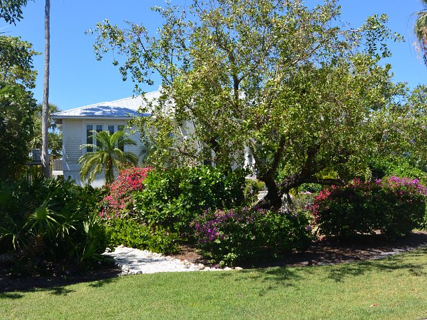 BikeDingDarling042426