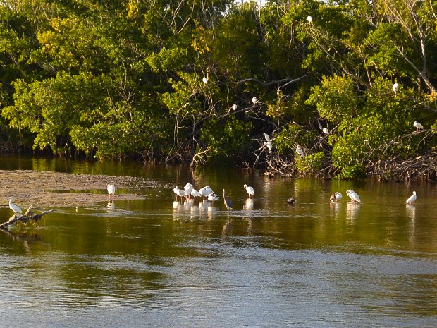 Sanibel Bike Kayak Jan-Jun 2026