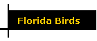 Florida Birds