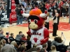 Benny The Bull