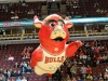 Bennie The Bull Bennie The Bull