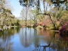 Lake near conservatory