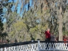 Long White Bridge