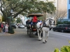Horse Carriage